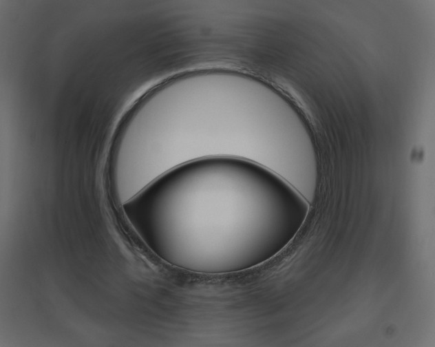 X0000096630532200802050936