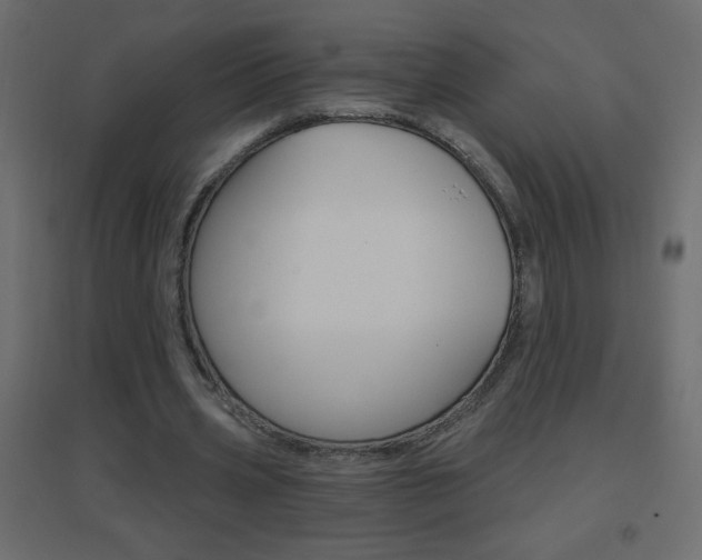 X0000096630533200802050936