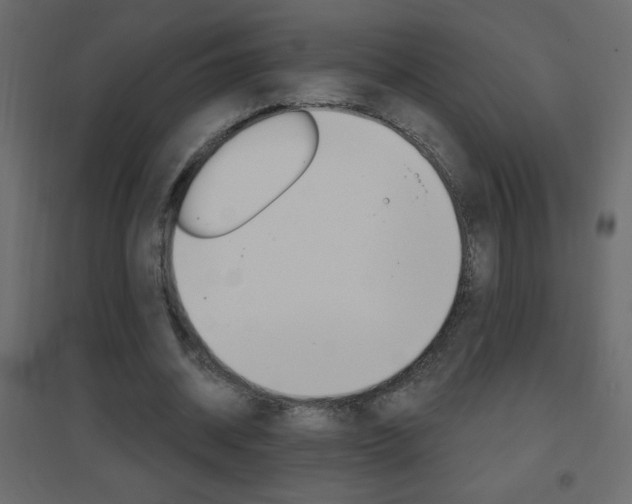 X0000096630534200802050936