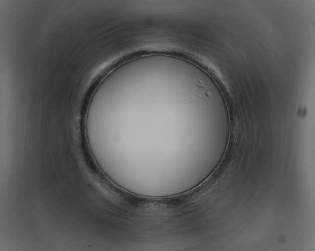 X0000096630535200802050936