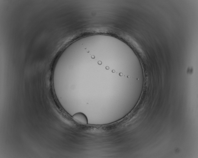X0000096630537200802050936