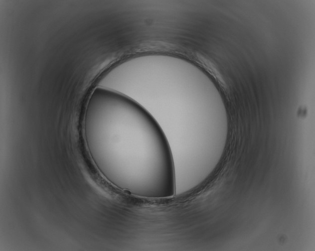 X0000096630538200802050936