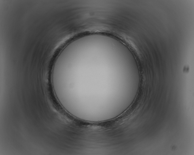 X0000096630539200802050936