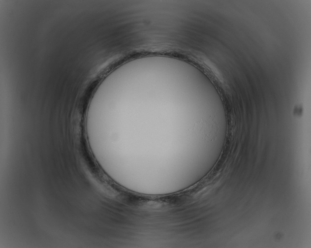 X0000096630542200802050936