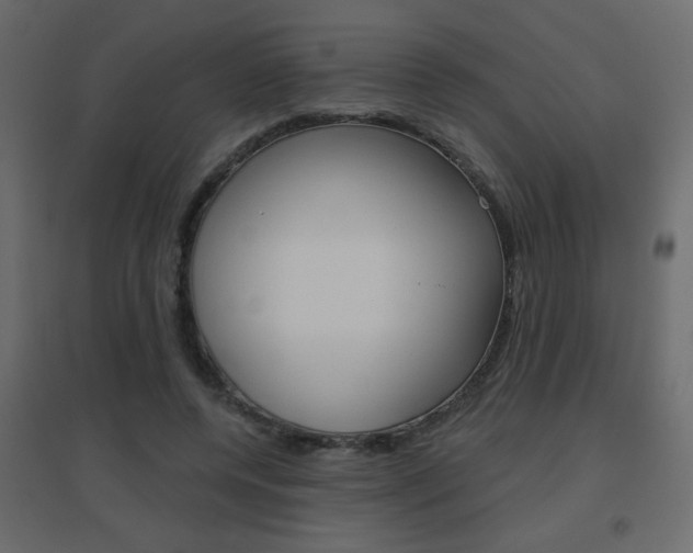 X0000096630544200802050936