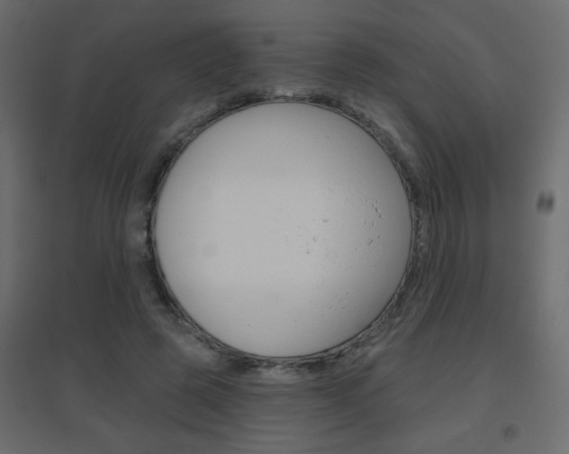 X0000096630545200802050936