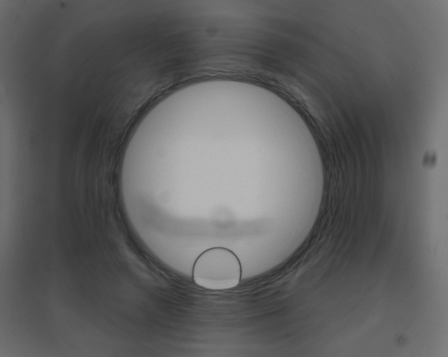 X0000096630546200802050936