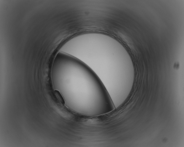 X0000096630548200802050937