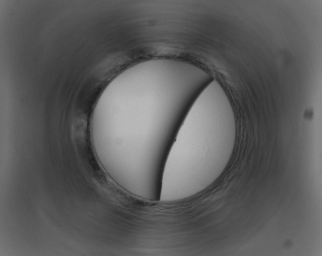 X0000096630550200802050937