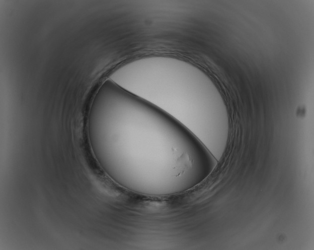X0000096630552200802050937