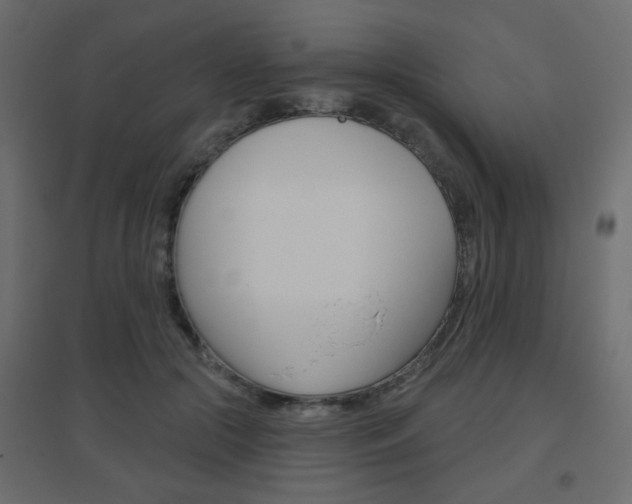 X0000096630553200802050937
