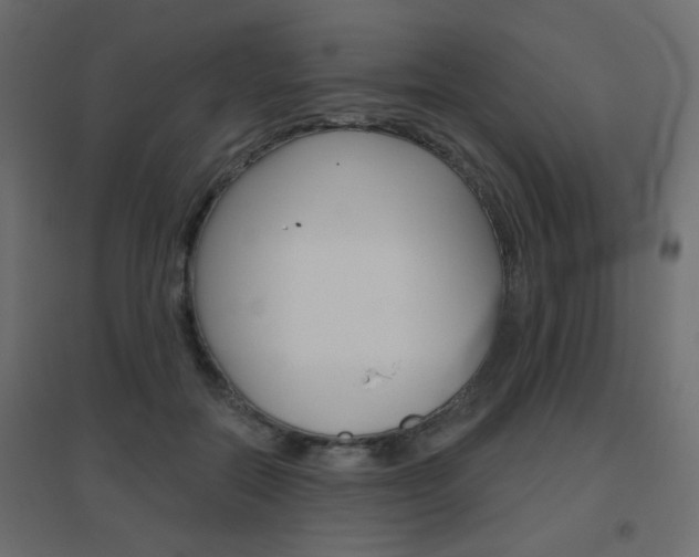 X0000096630554200802050937