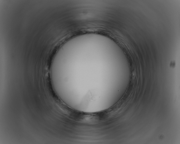 X0000096630555200802050937