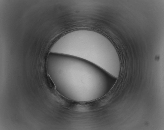 X0000096630556200802050937
