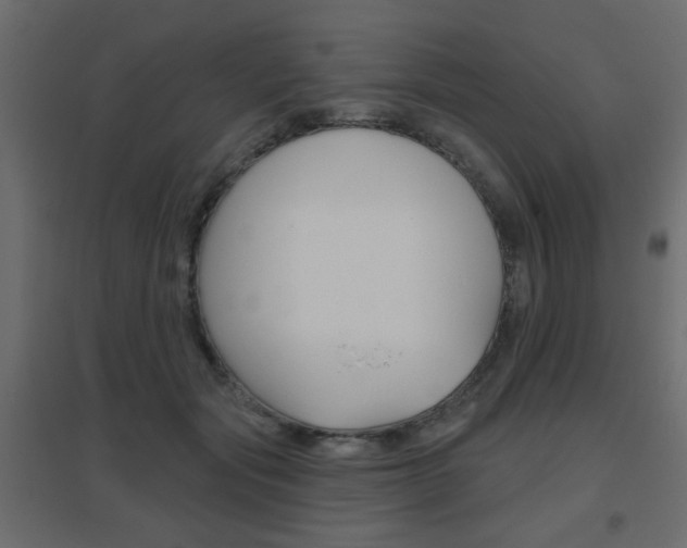 X0000096630557200802050937