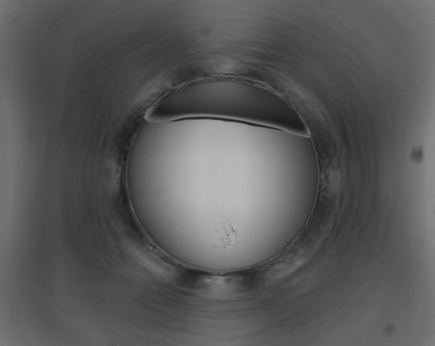 X0000096630558200802050937