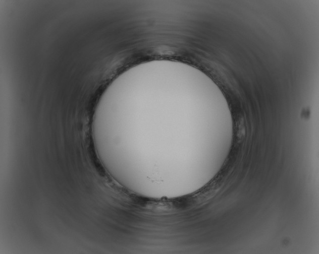 X0000096630559200802050937