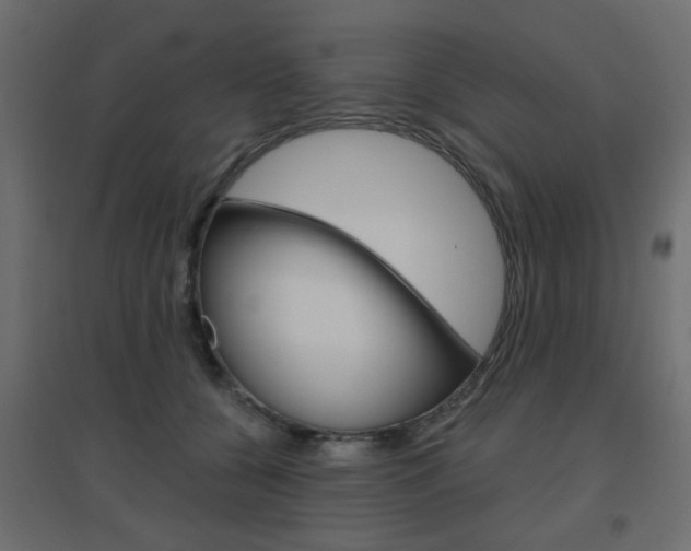 X0000096630560200802050937