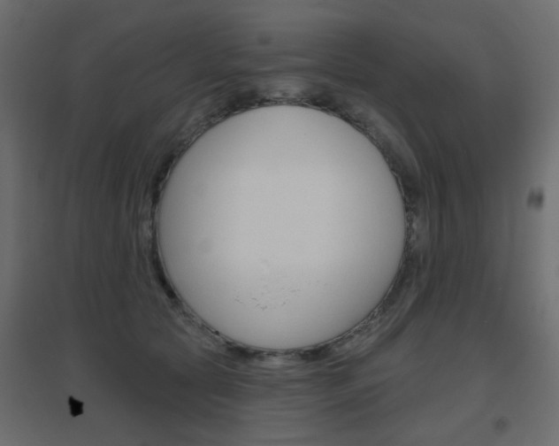 X0000096630561200802050937