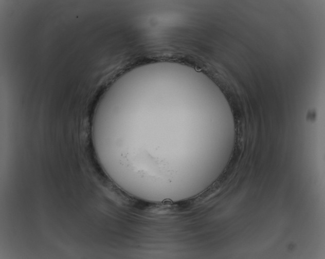 X0000096630563200802050937