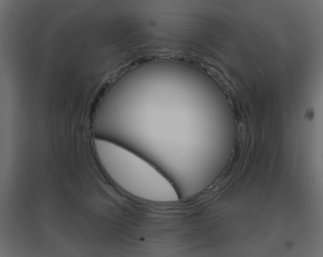 X0000096630564200802050937