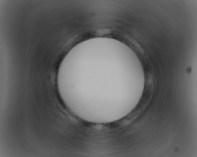 X0000096630565200802050937