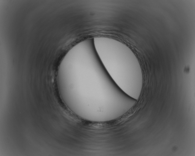 X0000096630567200802050937