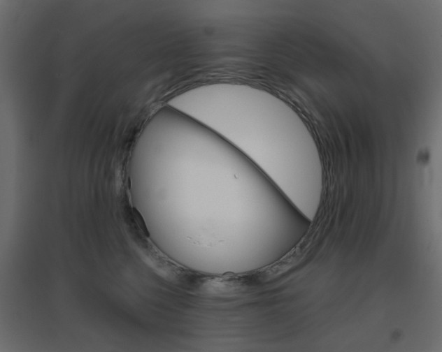 X0000096630568200802050937