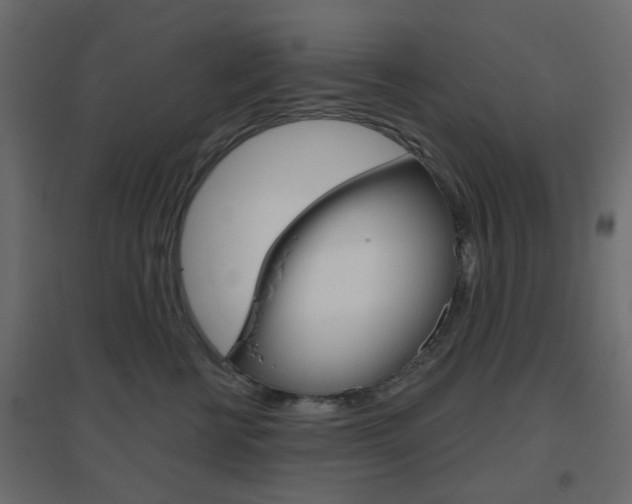X0000096630570200802050937