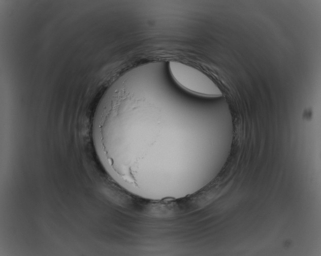 X0000096630571200802050937