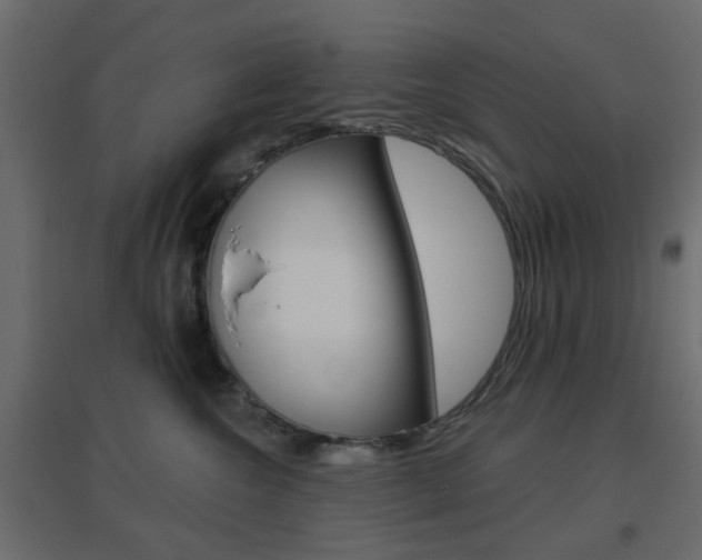 X0000096630572200802050937