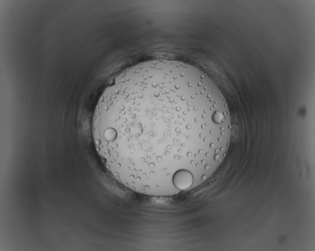 X0000096630573200802050937