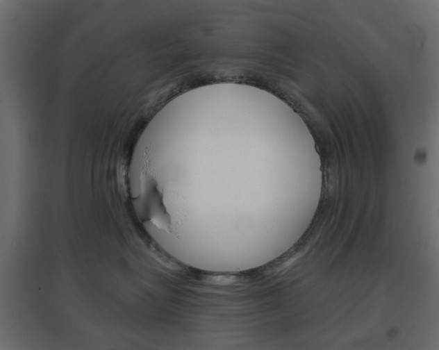 X0000096630575200802050937