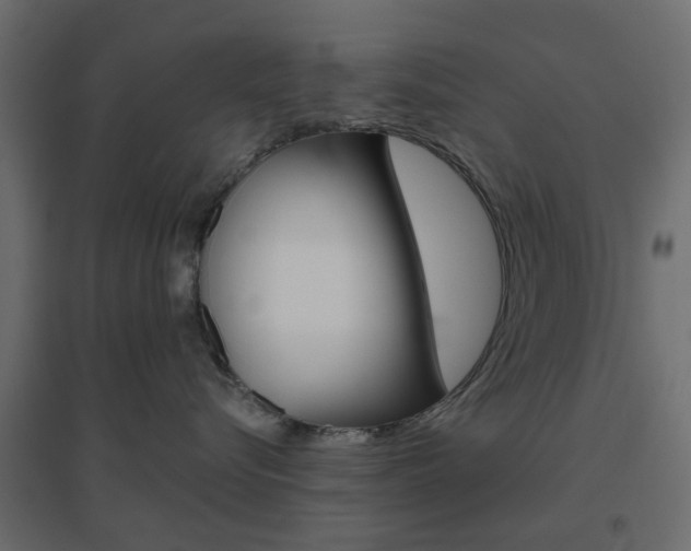 X0000096630576200802050937