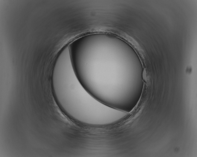 X0000096630577200802050936