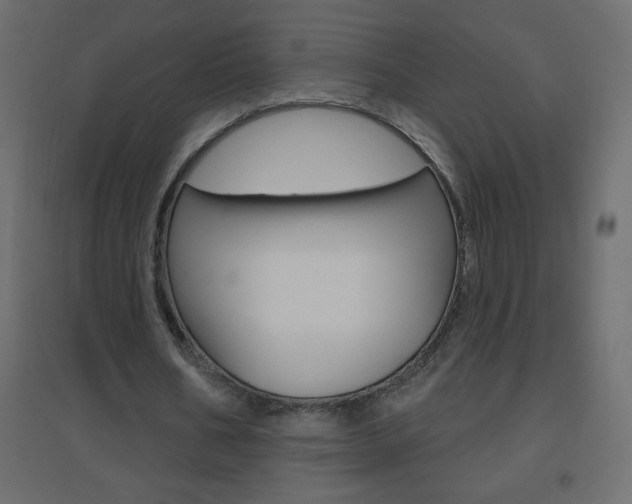 X0000096630578200802050936