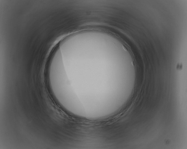 X0000096630579200802050936
