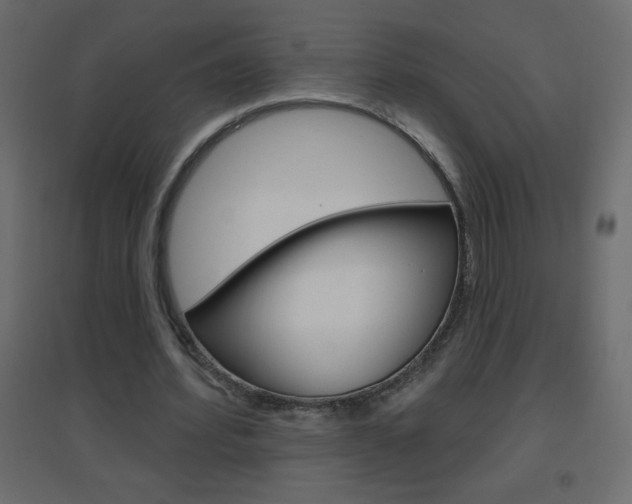 X0000096630580200802050936