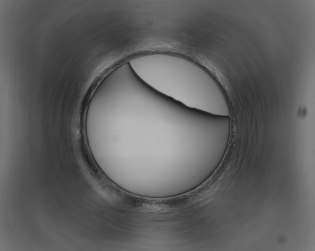 X0000096630582200802050936