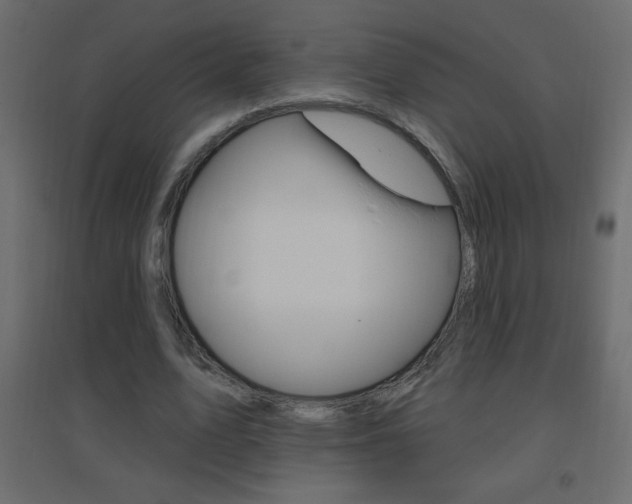 X0000096630583200802050936
