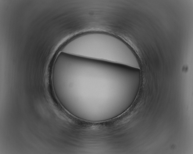 X0000096630584200802050936