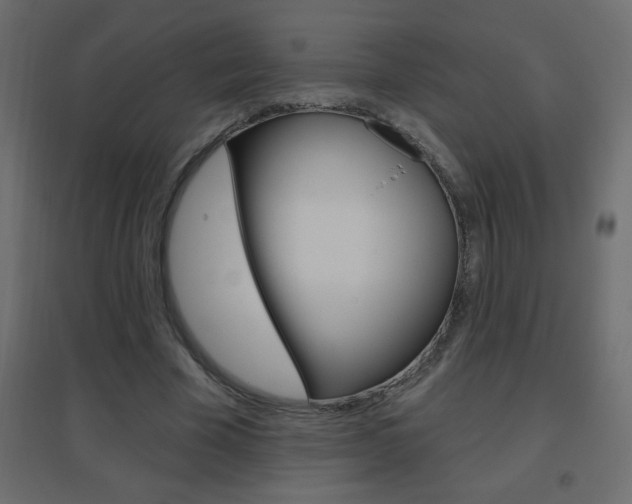 X0000096630585200802050936