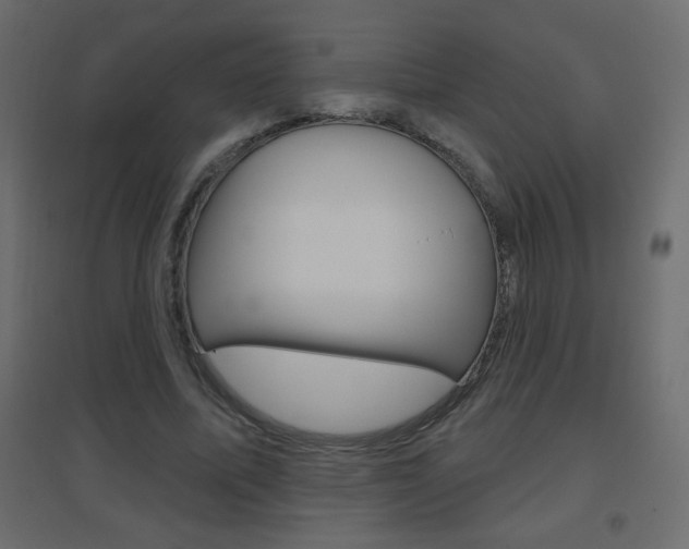 X0000096630587200802050936