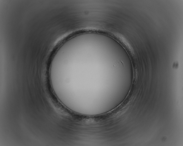 X0000096630588200802050936