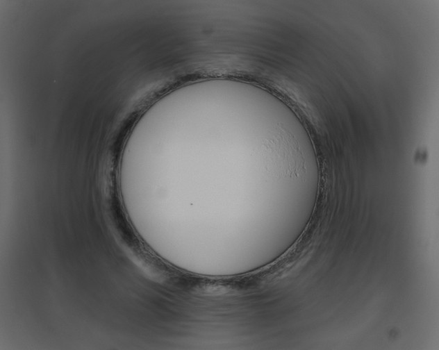 X0000096630590200802050936