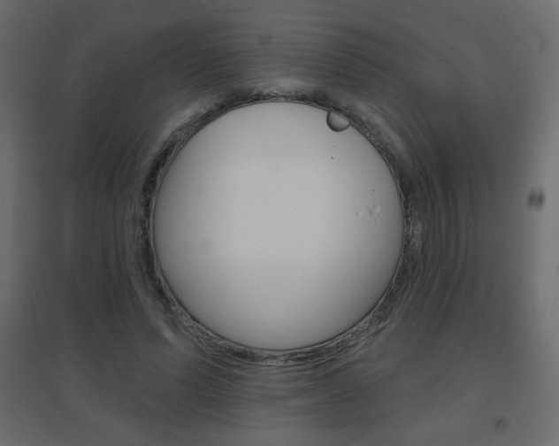 X0000096630591200802050936