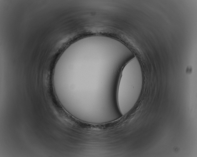 X0000096630592200802050936