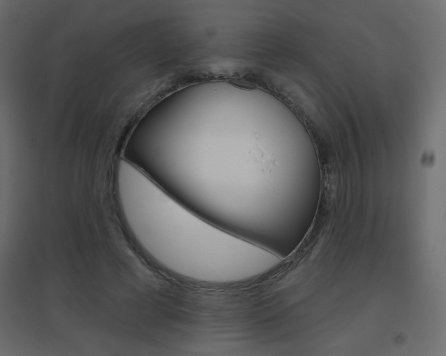 X0000096630593200802050936