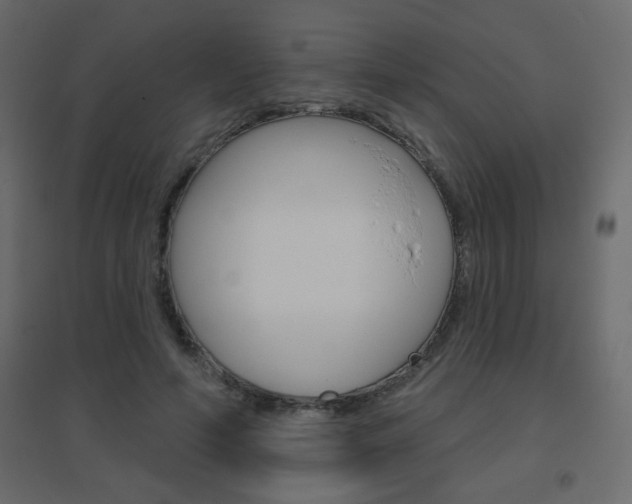 X0000096630594200802050936