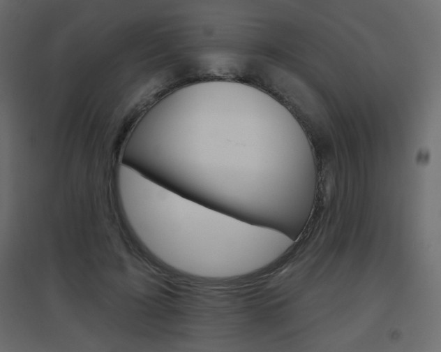 X0000096630595200802050936